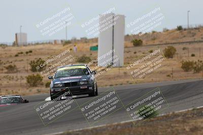 media/May-03-2025-Lucky Dog Racing (Sat) [[206de64b9d]]/Turn 6 (150pm-230pm)/